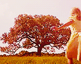  Favorite Movies → Forrest Gump (1994)  Life is like a box of chocolates, you
