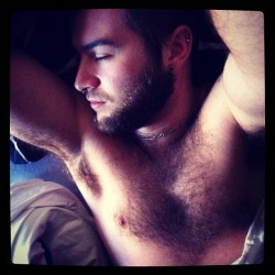 queerrilla:  Today i woke up hairier. My man scent, beasty.  I just came.