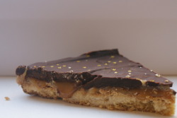 johnwhaite:  trillionaire’s shortbread - shortbread, salted caramel and chocolate ganache I don’t think a biscuit could be any more indulgent, hence this bad boy’s name. It is different from the regular ‘pauper’ of a millionaire’s shortbread