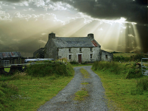 bluepueblo:  Ancient Cottage, Ireland photo via anony 