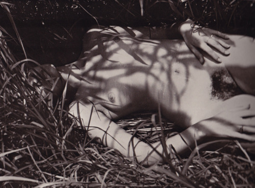 flosvitae: Manuel Alvarez Bravo, Desnudo en el pasto, 1978-79