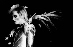 velvet goldmine