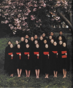 witchesandslippersandhoods:  The Choir, photographed