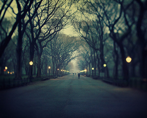 ruineshumaines:  The music of chance - New York City photograph (by IrenaS) 