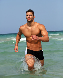 undercoverguys:  guyscandy: . Adam Ayash.