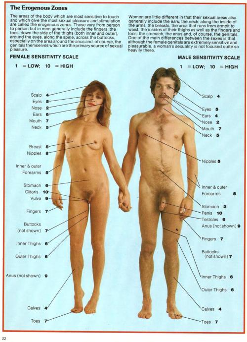 Porn photo Sensual Secrets, 1981 (pictured with Mike