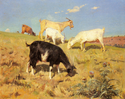 Benito Rebolledo Correa, Goats Grazing On A Hillside