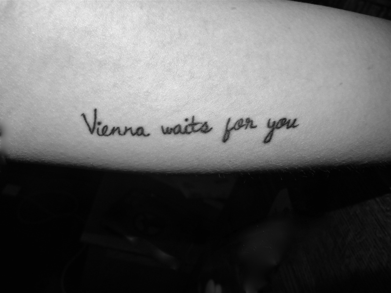 vienna  Lyrics tattoo Song tattoos Words