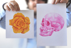 irides-cent:  paulalexanderthornton:  On the left, a flower drawn with red ballpoint pen and yellow felt-tip.On the right, a skull drawn with pink ballpoint pen. By Paul Alexander Thornton http://www.facebook.com/PaulAlexThornton  amazing 