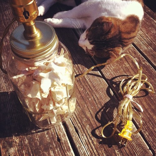 bone-lust: New Deer Bone Filled Mason Jar Lamp - Available in my Etsy shop. Bones in jar lamp