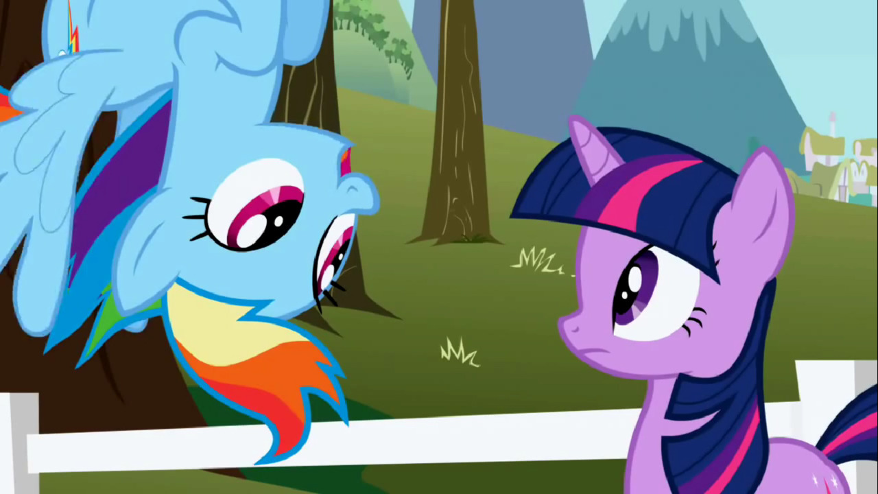 mylittleponyepisodeguide:  The episode in which Rainbow Dash asks Twilight Sparkle