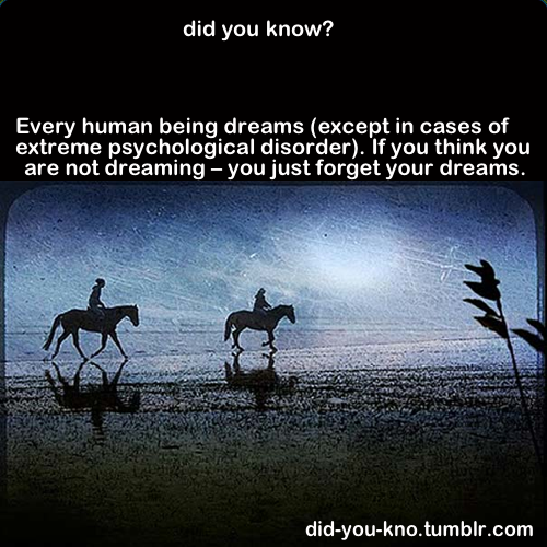 did-you-kno:  Source 