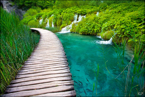 mysticplaces:  Plitviche Lakes National Park | Croatia submission by teal-deer, photos by Jack Brauer, Kate Pedley 