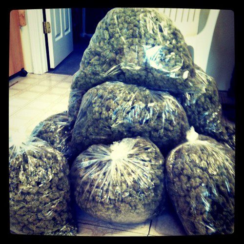 kushmclovin:  TRASH BAGS FULL OF WEED.. THIS AINT MINE THOUGH LOL
