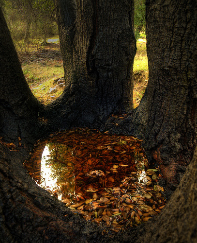 Porn photo Falling leaves ♡