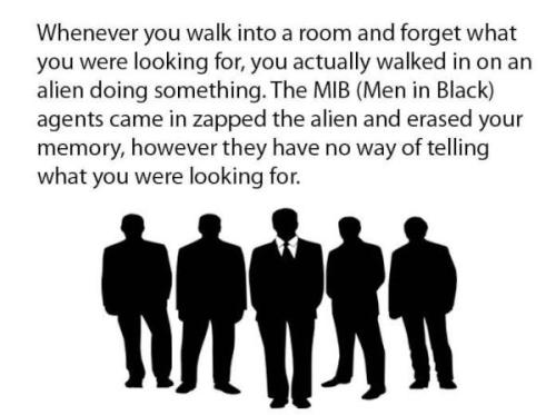 ambitionoverswagg:  That explains it. 