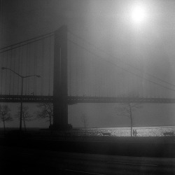 black-and-white:  verrazano in the sun (by