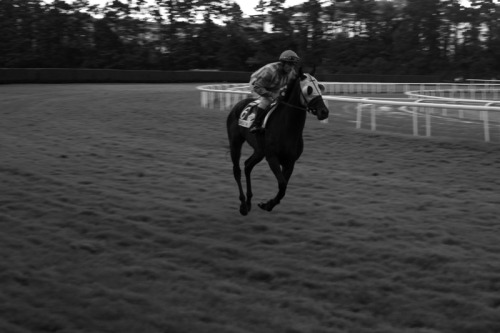 Hipódromo, Donostia.