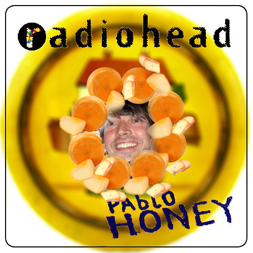 cheese covers