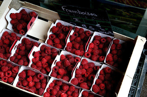 gofuckingnuts:  Breakfast in wonderland on We Heart It. http://weheartit.com/entry/12405072 