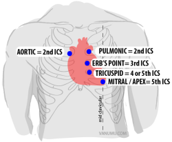 nursing4n00bs:  TRICKY THURSDAY All People