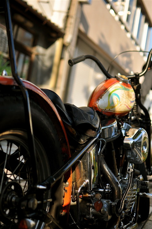 HotRodBizarre
