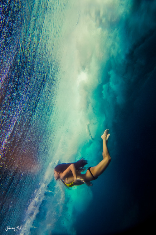 seascapesndaydreams:  surge by sarah lee 