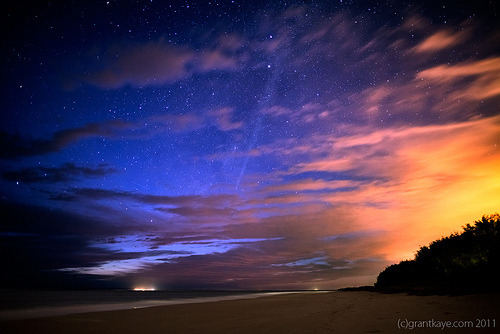lori-rocks: Comet Lovejoy at Dawn  By Grant Kaye