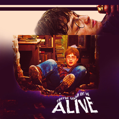 Harry Potter Eterno