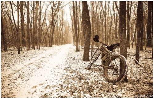 imaginegnat: A dusting - Bessa R4A - Portra 400 - scanned and toned in lightroom