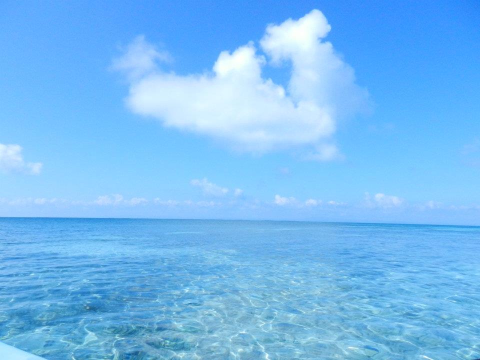 🇧🇸