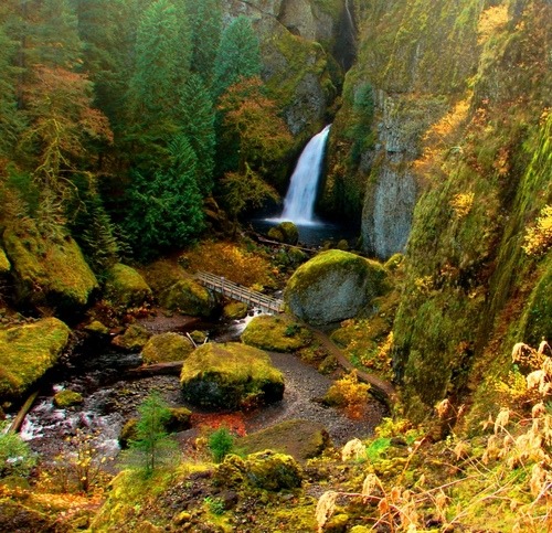 bluepueblo:  Wahclella Falls, Columbia Gorge, Oregon photo by little  