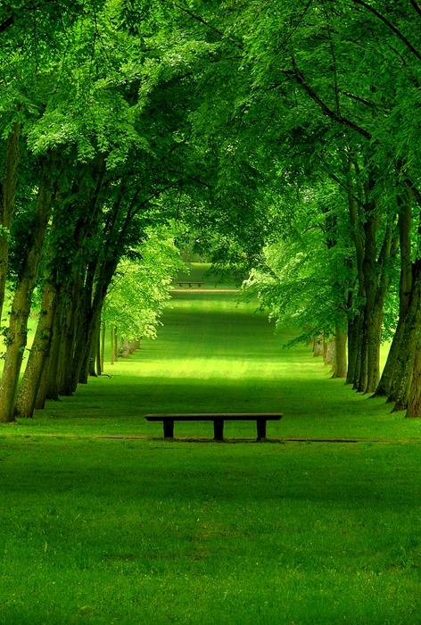 bluepueblo:  Park in Chamrande, France  photo by baloulumix 