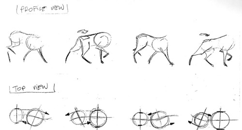 help-me-draw • animationart: Balto Animation Reference