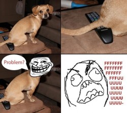 trollfacecomic:  Troll Face Comic - Doggy