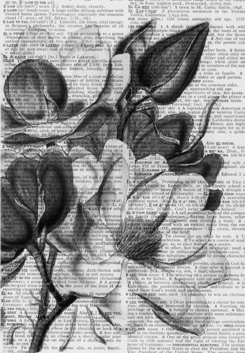 diacetyl-morphine.tumblr.com/post/21017285762/