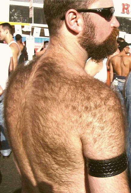cigarbro: hairybackedman:  folsom furback  Whoa I could get lost in that forest…