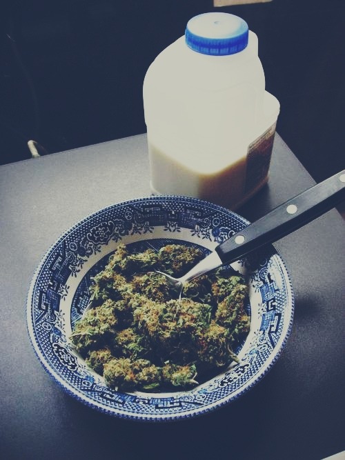 you-failed:  breakfast is the most important meal of the day 