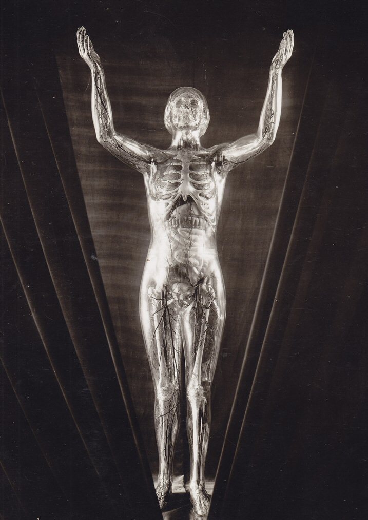 The see through man by Josef Tzeivoic