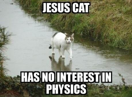 meme4u:  http://meme4u.tumblr.com 