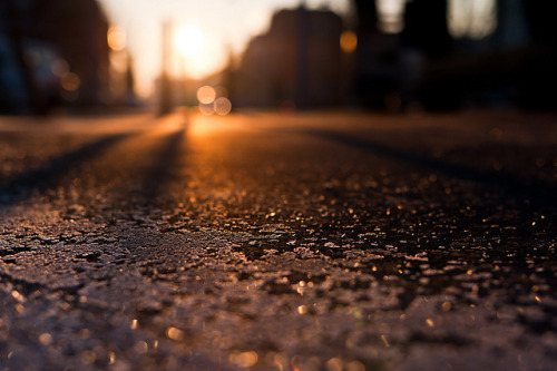 pvandenberg: warm light on cold ground by Steven Hamburger on Flickr.