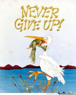  never ever…ever give up