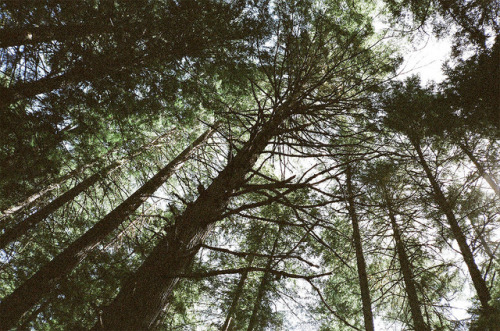 waltaire.tumblr.com/post/16239888423/