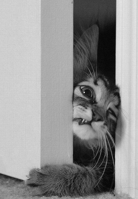 Hello Darling. Fancy a drink?