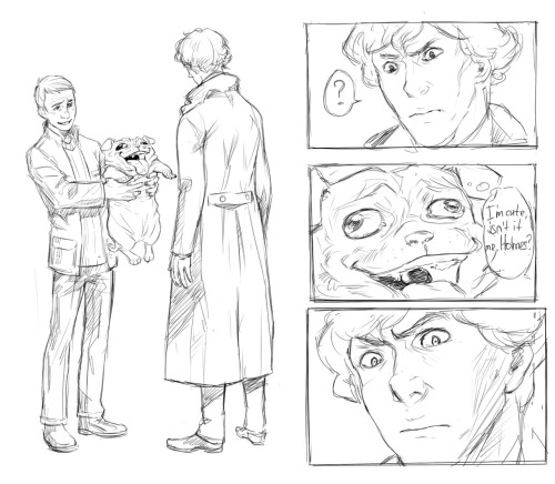 sdkay:Every Sherlock and Watson must have a dog. Me and Nadzo have some fun.)Спасиб, дарагой))