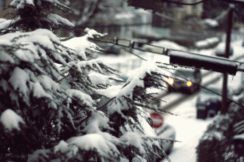 &ldquo;Snow Fall&rdquo; Boston, MA2012 Project 36621/366 