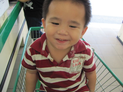 Ukie in the shopping trolley