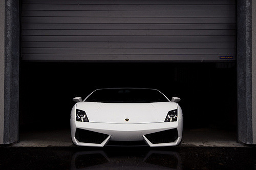 DashingLuxury