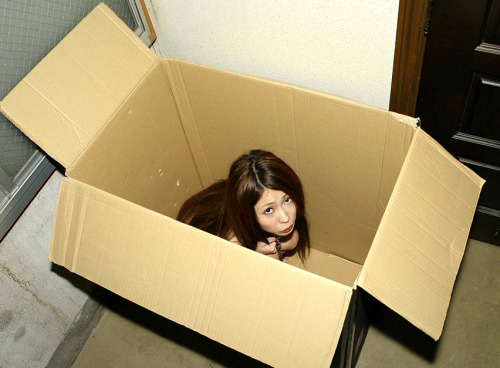 masterandpets:  Big box?  Or tiny girl?  You decide…  Both, judging by the door. An