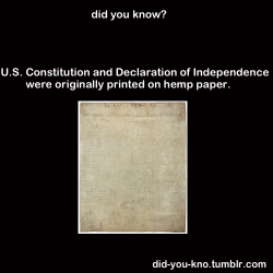 did-you-kno:  Both were later copied onto parchment. Source 